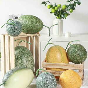 tFCNt[c n~E }XN lH vX`bN A ʕ ͌^ fBXvC CeA Xܑ Bep fbT  V[P[X  