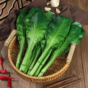  qp mߋ V A tFCN`Q HiTv  ʕ fBXvC f PUf Be 