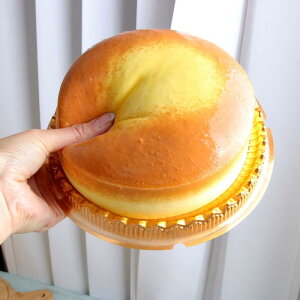 XNC[Y ᔽ A tFCNt[h ng[Xg ^CK[[P[L p P[L  XgX CeA u fBXvC(x2)