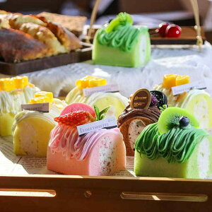 HiTv tFCNXC[c t[c^g P[L Iȍ AȌ CX^f fBXvC Xܗp V[P[X Be u CeA JtFG(x5)