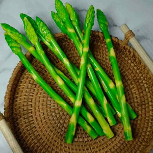 HiTv AXpKX { PVCf Aȑ` X܃fBXvC HX CeA ƒp X[p[ V[P[X Bep u ͌^