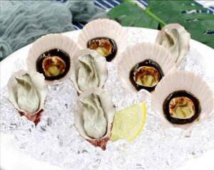 食品サンプル リアル フェイクフード 焼き牡蠣 焼きホタテ シーフード模型 ディスプレイ 撮影小物 ホテル 店舗装飾 ショーケース おままごと ごっこ遊び