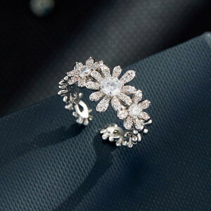 w fB[X WRjA fCW[  I[vO TCY\  lwO i t t@bV ʋ ItBX JWA  }CNCC CgOW