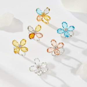 w fB[X TCY\ t[TCY KJ[ NX^ t[`[t I[vO t@bV i lwO  dCbL 킢(x2)