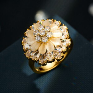 w fB[X ] Lڐ t[ I[vO   }CNpF WRjA lw ߉\ t@bV ANZT[(x2)