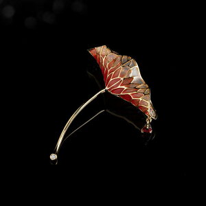 u[` fB[X GKg i  a I @̗t @̉ Gi   X[c R[g ʋ ANZT[