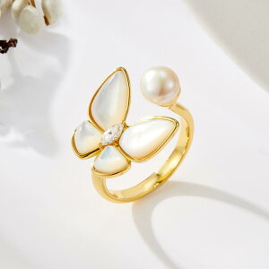 w fB[X VRVF Wp[ `[t I[vO  TCY\ t[TCY t@bV  ʋ JWA lwO(x2)