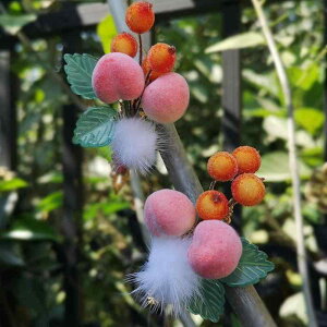  LbY ̎q Õ g AeB[N  h ^bZ wANbv `[t  RXv a Cxg \  vX`bN(x5)