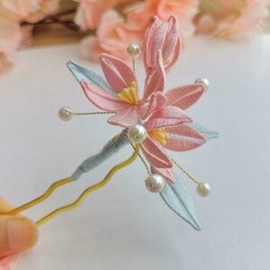  fB[X  Õ  z 񂴂 h  a   RXv wAANZT[ 킢 i(x5)