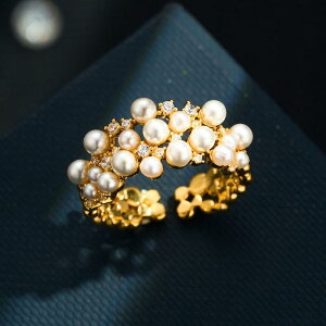 w fB[X TCY߉\ I[vO p[ WRjA 󃂃`[t   t`X^C GKg l lwp (x2)