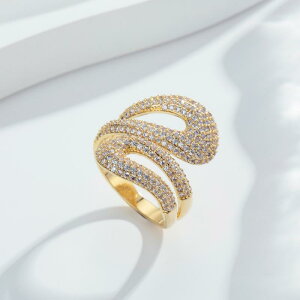 w fB[X _ȃNXfUC I[vO t[TCY y₩ŏiȌht@bV N[ lwO ʋ ItBX JWA (x2)