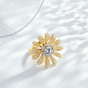 �w�� ���f�B�[�X ���킢�� �f�C�W�[ �ԕ� ��] �����\ ���� �t���[�T�C�Y �l�����w ���I �N�[�� ������� ���p�r �J�W���A�� �V���v�� ��l����(x2)