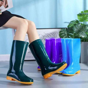 Cu[c fB[X ~ h N  t@bV  C ~h O J  ~J΍ ʋ ʊw ig PVCf