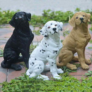 u q  CeA tBMA IuWF i 킢  A Aj} G    rO fXN