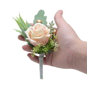 RT[W Y fB[X VN   uC_ Vw uCYCh \ w Ǝ  p[eB[ tH[} Zj[ ؂₩