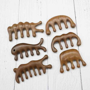 }bT[WuV h VRؐ PA 5{ ی^wbh Sgp c{ o si bNX jp v[g Mtg