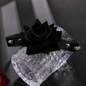 `[J[ fB[X U[ nhCh _[N pN SVbN XJ [Y X^bY lbNX H~