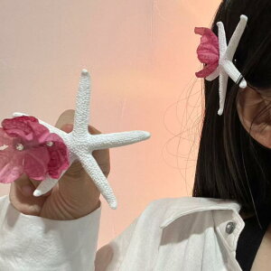 wANbv fB[X oXNbv qgf  z t ][g ؍ ^ 킢 ʐ^Be TChNbv