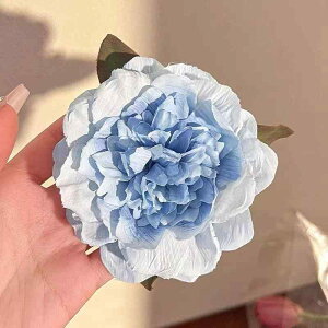 oXNbv fB[X a_ Ỏ Ԃ ܂Ƃߔ GKg i ؂₩ ؍ tH[} JWA z wAANZT[