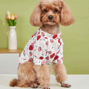 ybgpTVc K ʋC  y t t[c  L  p |GXef CX^f  킢 U o  fC[