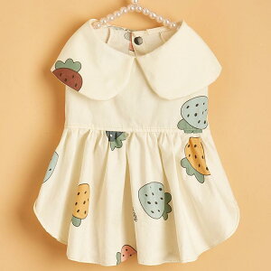 s[X ^ ^ Lp t  킢  t[cfUC ItzCg y  K |GXe ybgEFA U o i