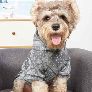  hbOEFA t[htp[J[ O[ vg GXjbNfUC |GXef tH~p ^ ^  킢 CX^f ybgEFA