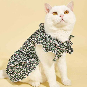 ybgEFA ^ Lp ėp s[X ViEU[ gCv[h rVt[[ n ԕ CX^f  U hbOEFA LbgEFA |GXef