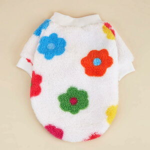 ybg 킢 ins ԕ vg Lp {Ap[J[ |GXe g h  U H~p ^ ^