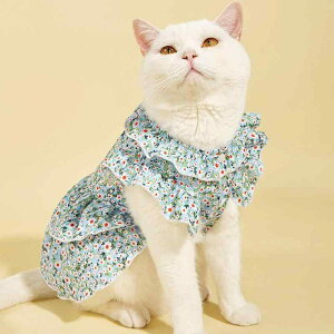 Lp s[X  ԕ ₩ CX^f ^ q L efB |jA rV ViEU[ hbOEFA LbgEFA U o |GXef