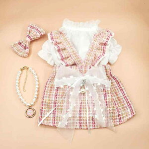 ybg Lp H~ cC[h 2_Zbg c[s[X TybgXJ[g Vc  |GXe op 킢 sN(x2)