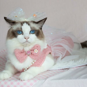 ybg  Lp m[X[u vZX  i s[X hX  [ht Zbg u[ sN ^ ^ |GXeRbgf(x2)