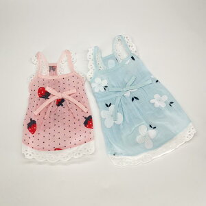  hbOEFA ̎q sN  [X L~\[ s[X ^ ^ ȑf ʋC U  킢 t(x2)