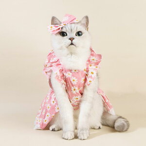  L ̎q fCW[ԕ s[X wAANZT[ Zbg Rbgf t ^ gCv[h rVt[[p  킢 sN ubN(x2)