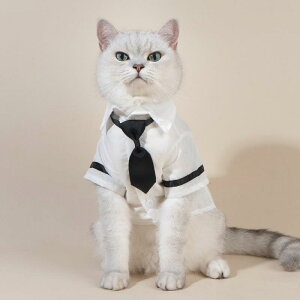 ybgEFA  L tďH t[c RbgVc lN^Ct zCg ^ ^ U o 킢  ʋC(x2)