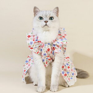 ybg  Lp  t  ؍ [XXJ[g ԕs[X ڋʏĂ   o U 킢 hX ^(x2)