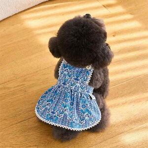 ybgp  L ̎q s[X t Ԏ핿 vZX 킢 gCv[h rVt[[ ^ ^ ȍf