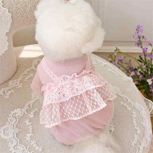  L t btn [X t p[X I[C Ȃ ^ gCv[h |jA v[h ȍ ݃J[ J[L 킢