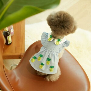 ybg  Lp ̎q ʋCQ fj pCibv s[X ȍf JWA X^C 킢 U o ^ ^