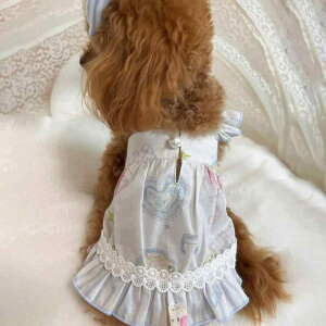 �y�b�g�� ���� ���̎q�p �Ђ���ڐG�⊴ ���^�� �g�C�v�[�h�� �ėp ���� ���[�X �n�[�g�� �v�����Z�X �h���X �����s�[�X ���킢�� �ȍ��f��