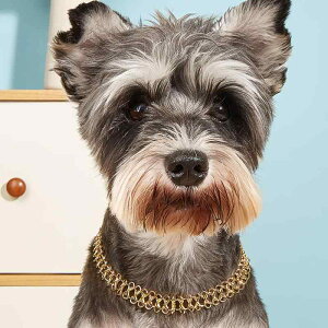 ybgp 킢   S[h lbNX ^ ^ L ViEU[ |jA gCv[h t`uhbO Lp ߉\ JWA lGp(x2