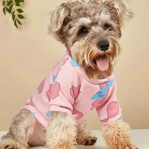 p[J[ L ^ N hbOEFA LbgEFA g h n[g sN oCJ[ 킢  CX^f H~ |GXe [EFA U