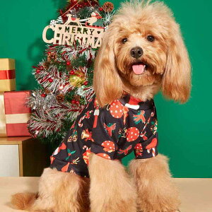 ybgEFA NX}X Lp XEFbg g[i[ 킢  CX^f ^ ^ ^ |GXe ubN