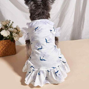 ybgp Lp Vcs[X CX^f 킢  sN [t |GXef ^ ^ tďH~