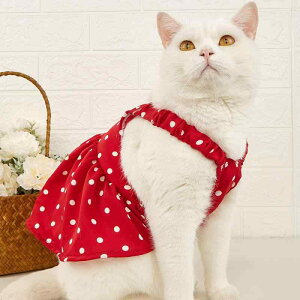 hbOEFA ̎q  L Ԕ hbg L~\[s[X  SNSf 킢 ybgEFA |GXef gCv[h |jA ViEU[ ^p