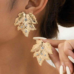 sAX fB[X ĕ I Ԃ fUC CXg[ ̗t {^jJ  S[hJ[ dCbLH H~ i p[eB[ fC[[X