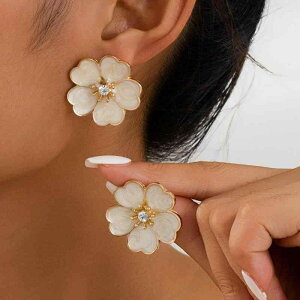 sAX fB[X ؍ t@bV i tF~j  G|LVH t[ CXg[ JA GKg ItBX ʋ