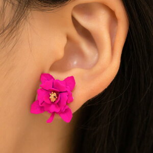 sAX CO fB[X  ̃JA GiH dCbL i [Ybh  t[`[t Vv GKg tF~j ANZT[