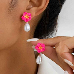 sAX fB[X h hbv tFCNp[ ԃ`[t sN y i @ 킢 tF~j ][g r[` ʐ^f ig JWAX^C