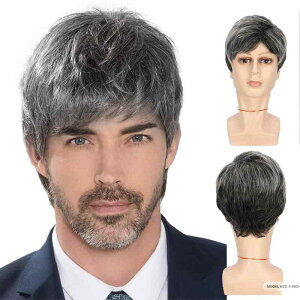 EBbO Y jp ӂӂ V[gJ[ ϔMt@Co[ [Ylbg AbVO[ ΂ߑO }VCh  RȔ {[Abv JWAX^C