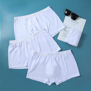 {NT[pc Y 100% ʋC   K I[V[YΉ zCg 傫TCY  l jp  A_[EFA